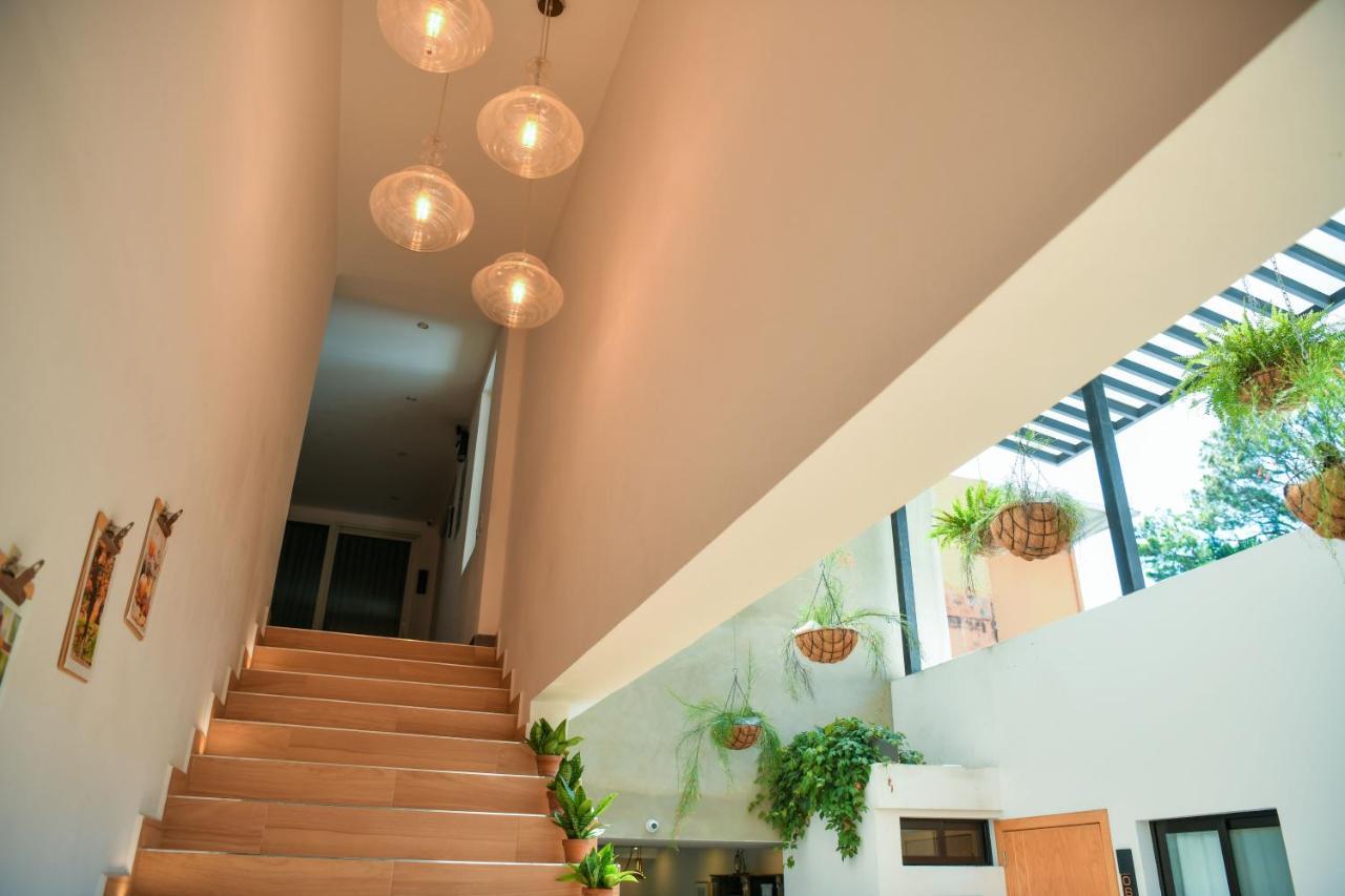 Kaleo Hotel Boutique San Salvador Bagian luar foto