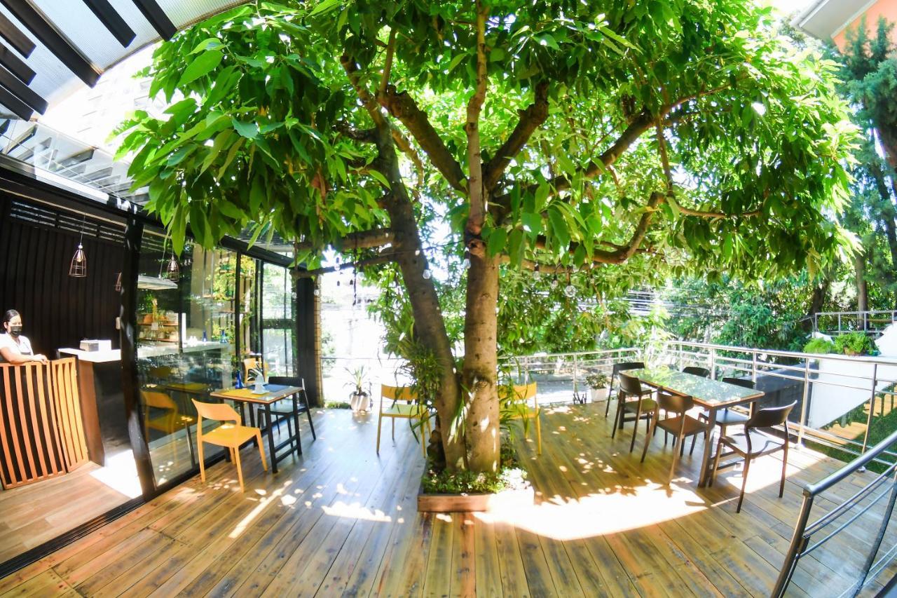 Kaleo Hotel Boutique San Salvador Bagian luar foto