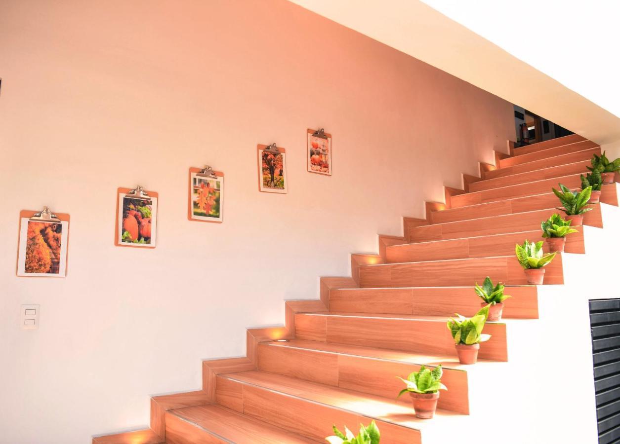 Kaleo Hotel Boutique San Salvador Bagian luar foto